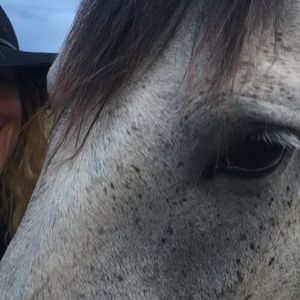 Meet your Posher, Regina